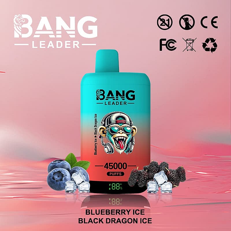 Bang Leader 45K Puffs : Dual Flavors Disposable Vape with LED Display ...