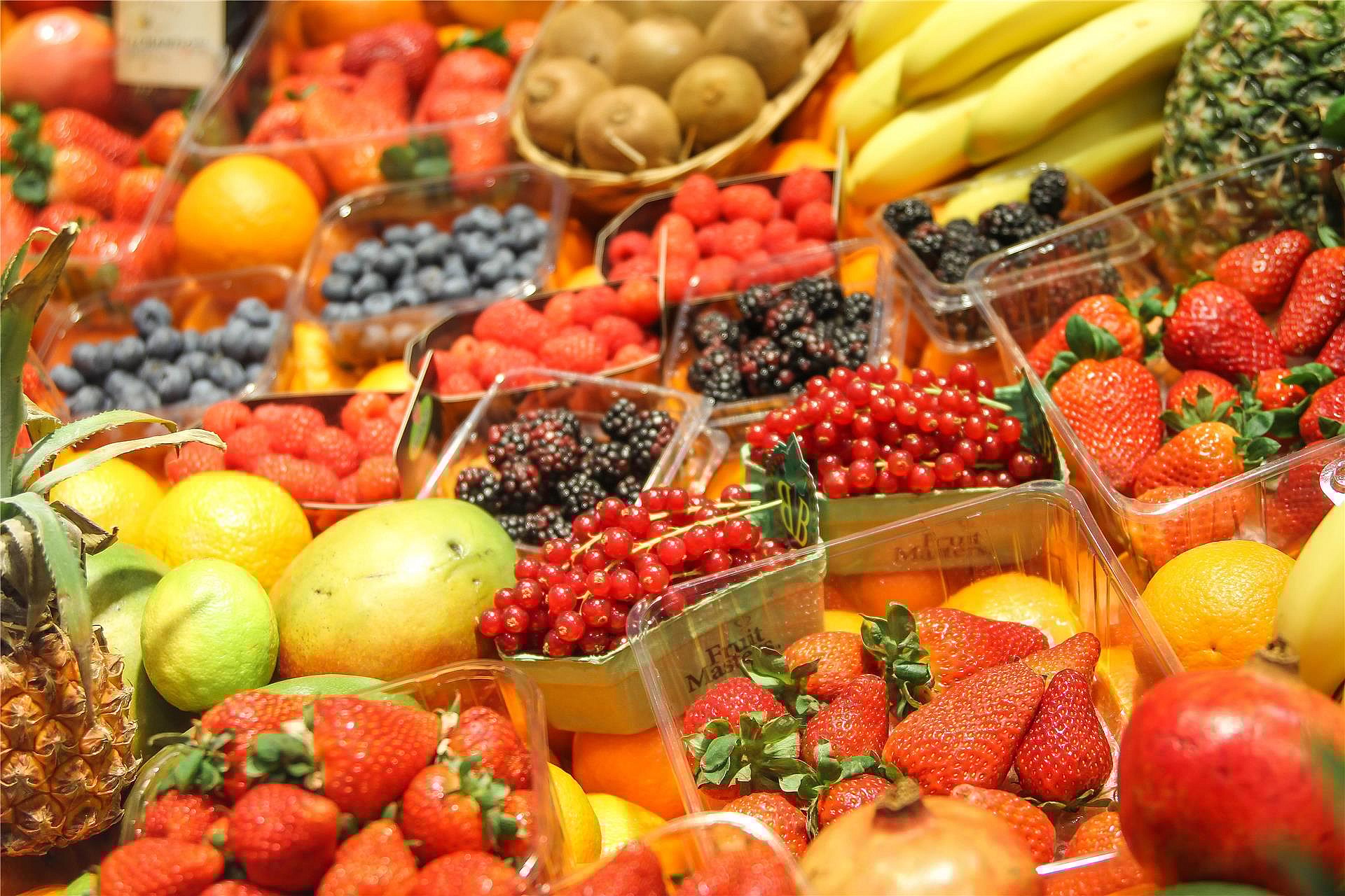 Une variété de fruits colorés, notamment des fraises, des myrtilles, des mûres, des framboises, des kiwis, des oranges, des bananes, des ananas et des mangues, présentés dans des contenants en plastique transparent.