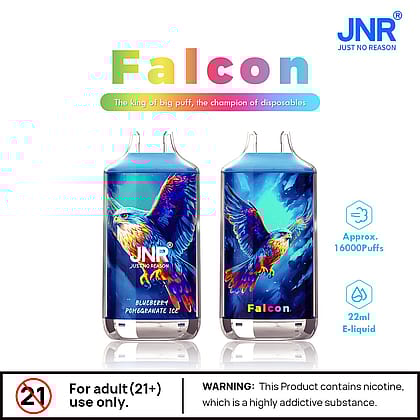 Due dispositivi monouso JNR Falcon con un design colorato a forma di falco, etichettati "Blueberry Pomegranate Ice", che offrono circa 16.000 tiri e 22 ml di e-liquid. Un avviso afferma che il prodotto contiene nicotina, destinato ad adulti di età pari o superiore a 21 anni.