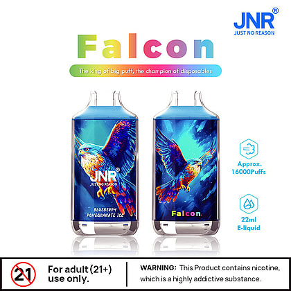 Två JNR Falcon vapeapparater för engångsbruk med en färgglad falkdesign, märkt "Blueberry Pomegranate Ice", som erbjuder cirka 16 000 puffar och 22 ml e-vätska. En varning säger att produkten innehåller nikotin, avsedd för vuxna 21+.