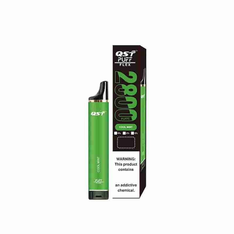 Grüner Einweg-Vape-Pen und seine Schachtel mit der Aufschrift „QST Puff Flex 2800 Puffs“ und dem Geschmack „Cool Mint“.