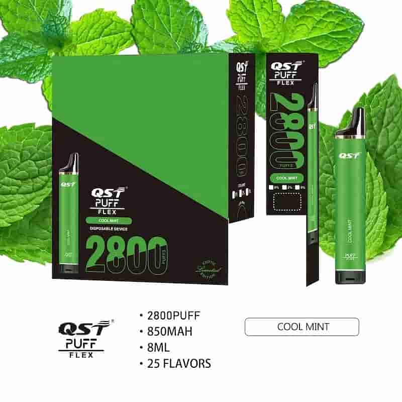Grünes Einweg-Vaping-Gerät QST Puff Flex mit „Cool Mint“-Geschmack, das 2800 Züge erzeugt, über einen 850 mAh-Akku und ein Fassungsvermögen von 8 ml verfügt und in seiner Verpackung vor dem Hintergrund eines Minzblatts präsentiert wird.