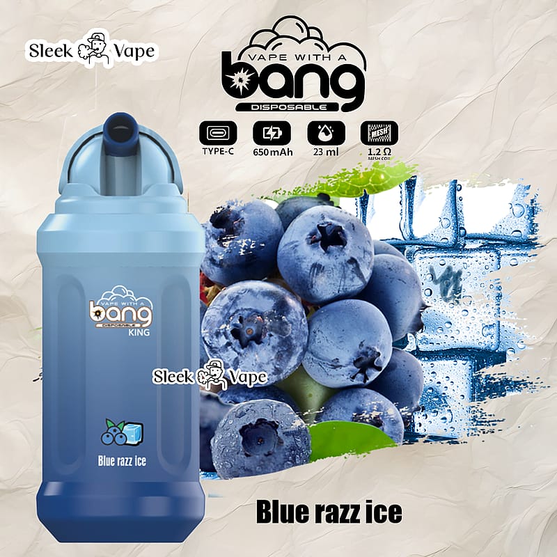 Bang King 12000 Puffs 0% 2% 3% 5% Nicotina Recargable Pod Desechable