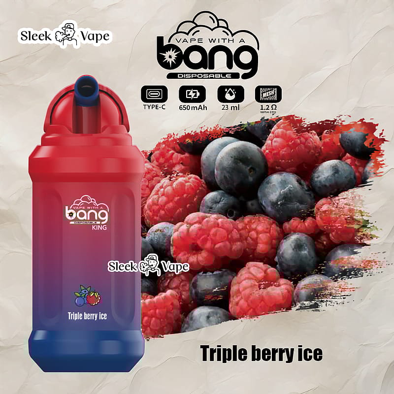 Bang King 12000 Puffs 0% 2% 3% 5% Nicotina Recargable Pod Desechable