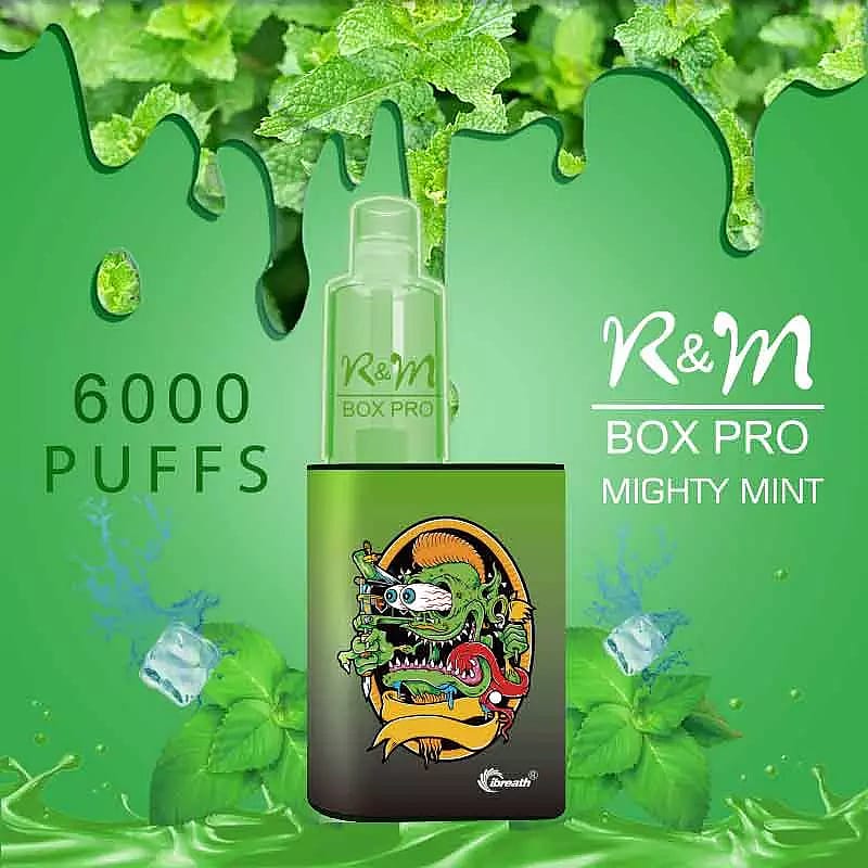 Dispositivo per svapare R&M Box Pro con aroma Mighty Mint, capace di erogare 6000 boccate, esposto su uno sfondo di foglie di menta fresca e cubetti di ghiaccio.