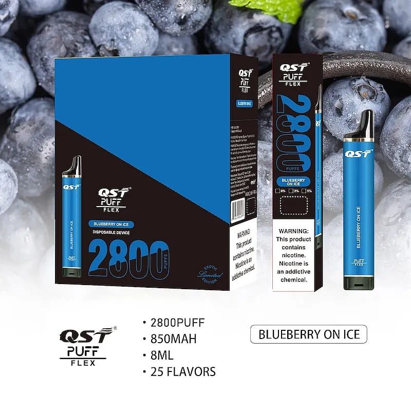 QST Puff Flex Einweg-Vape mit 2800 Zügen, 850 mAh Akku, 8 ml Fassungsvermögen und Blaubeer-auf-Eis-Geschmack.