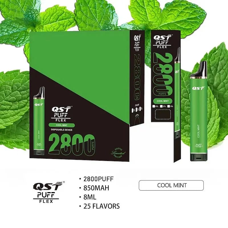 Grünes Einweg-Vaping-Gerät QST Puff Flex mit „Cool Mint“-Geschmack, das 2800 Züge erzeugt, über einen 850 mAh-Akku und ein Fassungsvermögen von 8 ml verfügt und in seiner Verpackung vor dem Hintergrund eines Minzblatts präsentiert wird.