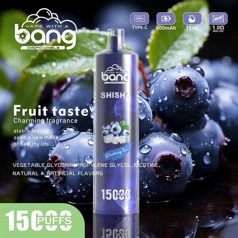 Bang SHISHA 15000 bouffées jetables Vape New Electronic Cigarette Pen