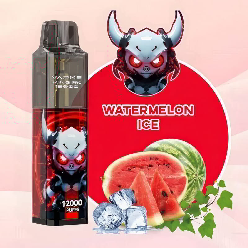 VAPME King Pro 12000 bouffées 0% 2% 3% 5% Stylo à Vape jetable à la nicotine