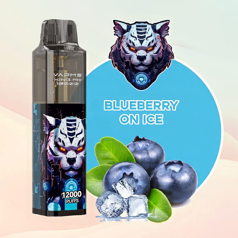 VAPME King Pro 12000 bouffées 0% 2% 3% 5% Stylo à Vape jetable à la nicotine