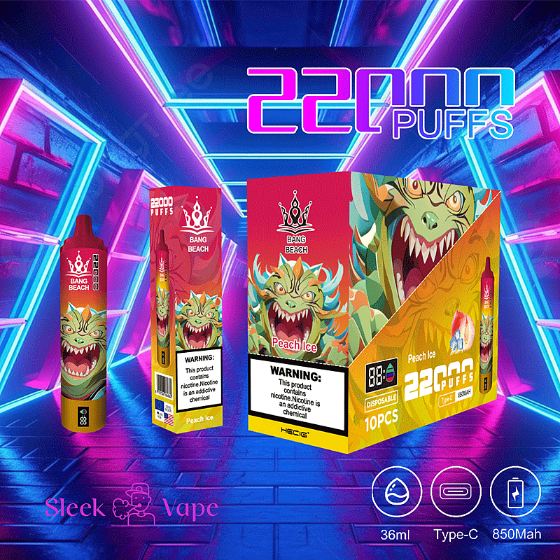 Bang Beach 22000 bouffées 0% 2% 3% 5% Nicotine LED Display New Electronic Cigarette Pen