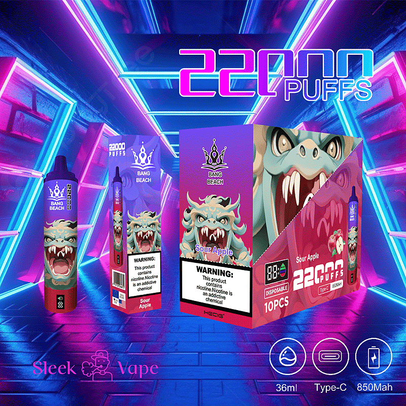 Bang Beach 22000 bouffées 0% 2% 3% 5% Nicotine LED Display New Electronic Cigarette Pen