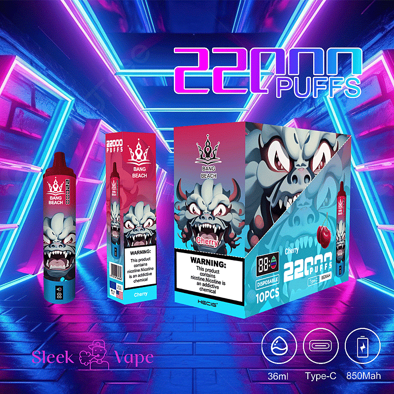 Bang Beach 22000 bouffées 0% 2% 3% 5% Nicotine LED Display New Electronic Cigarette Pen