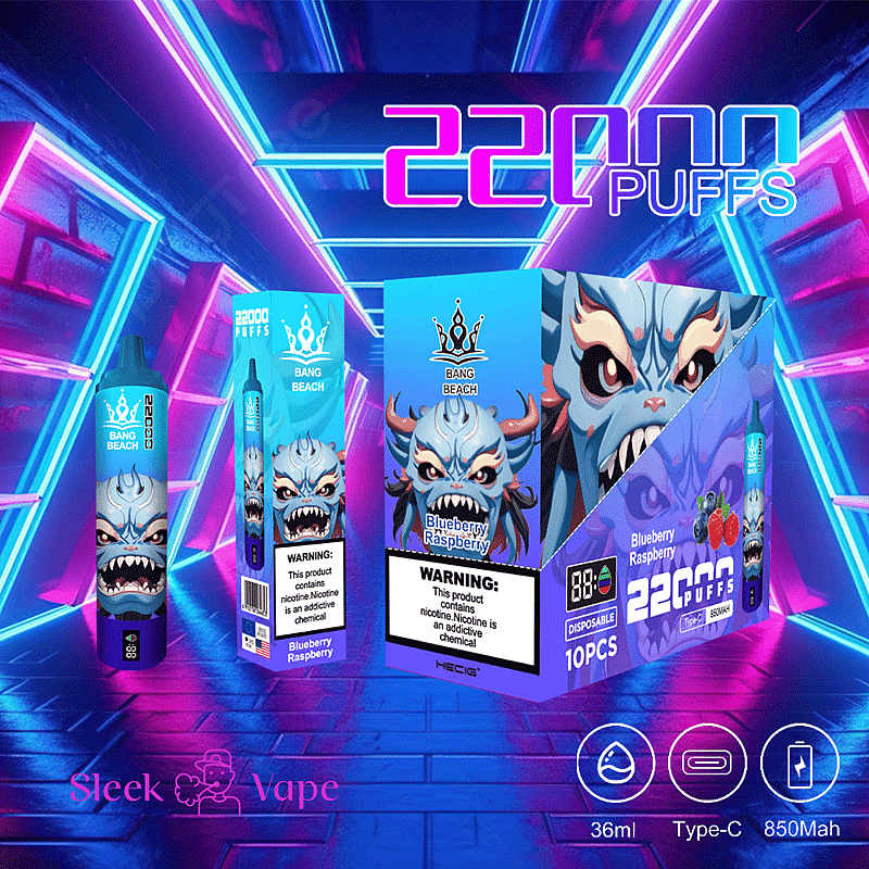 Bang Beach 22000 bouffées 0% 2% 3% 5% Nicotine LED Display New Electronic Cigarette Pen