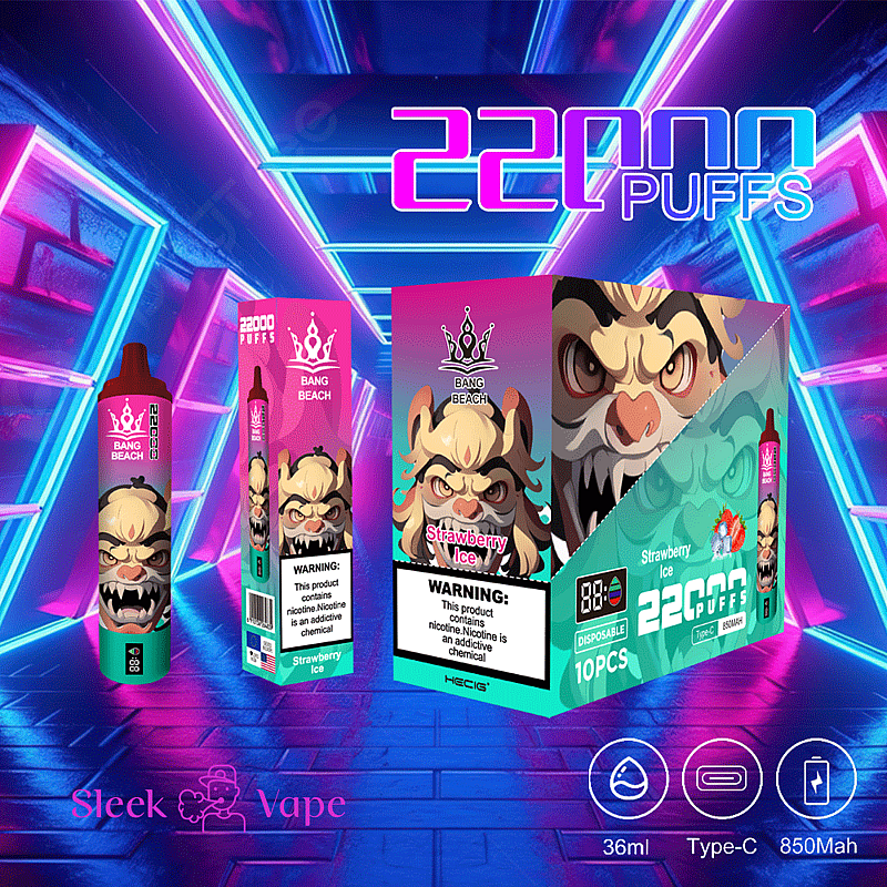 Bang Beach 22000 bouffées 0% 2% 3% 5% Nicotine LED Display New Electronic Cigarette Pen