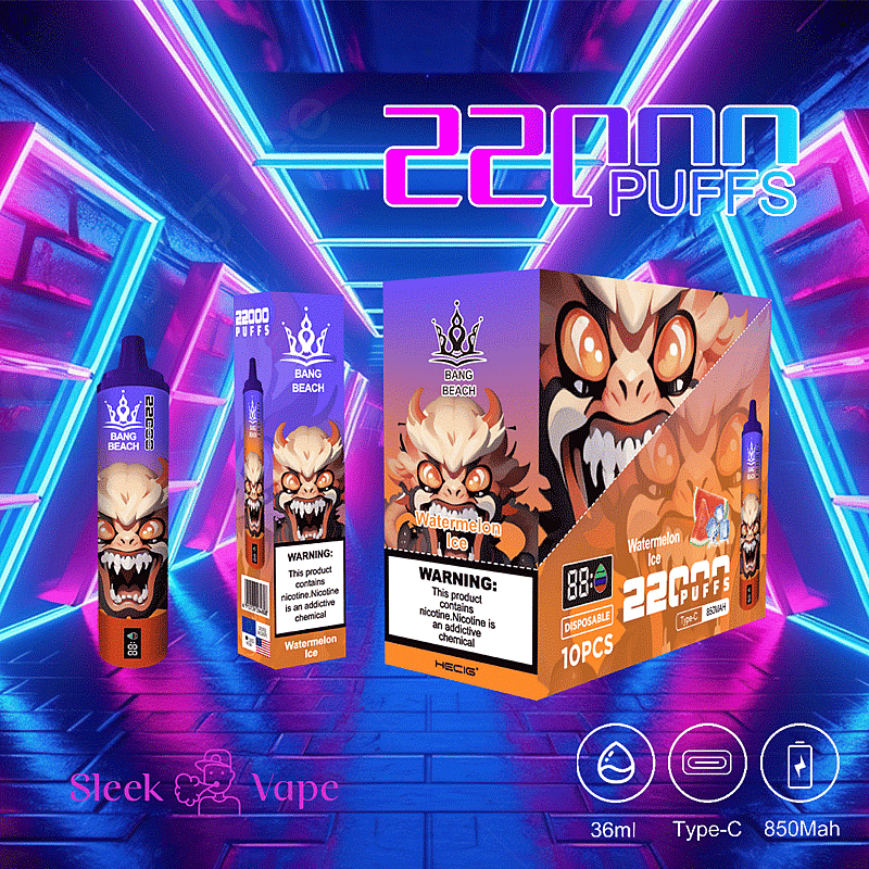 Bang Beach 22000 bouffées 0% 2% 3% 5% Nicotine LED Display New Electronic Cigarette Pen