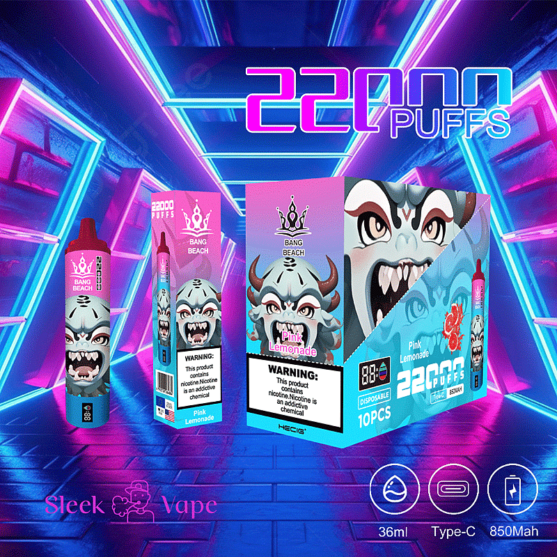 Bang Beach 22000 bouffées 0% 2% 3% 5% Nicotine LED Display New Electronic Cigarette Pen