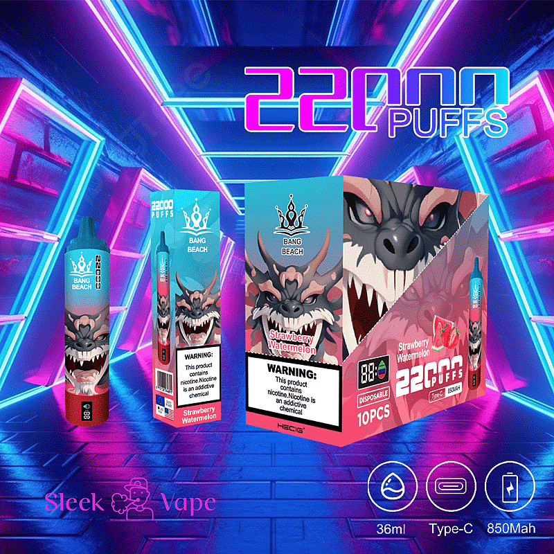 Bang Beach 22000 bouffées 0% 2% 3% 5% Nicotine LED Display New Electronic Cigarette Pen