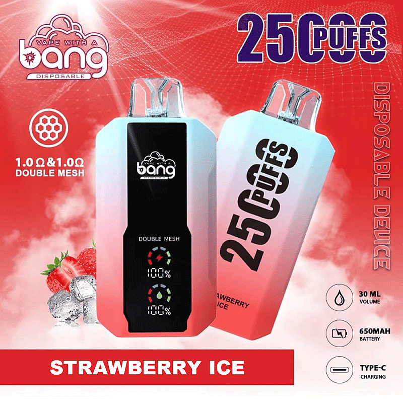 Bang 25000 25k Puffs 0% 2% 3% 5% Nicotine New LED Display Disposable Vape