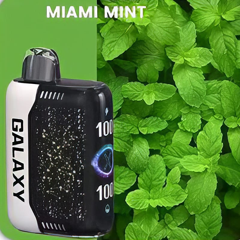 GALAXY 30000 Gypsophila 30K bouffées jetables Vape Newest Electronic Cigarette Pod