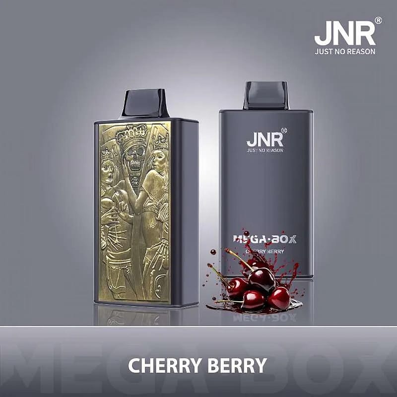 Two sleek metallic cartridges featuring the JNR brand, adorned with intricate artwork and the label 'Cherry Berry,' accompanied by an image of fresh cherries splashing juice.