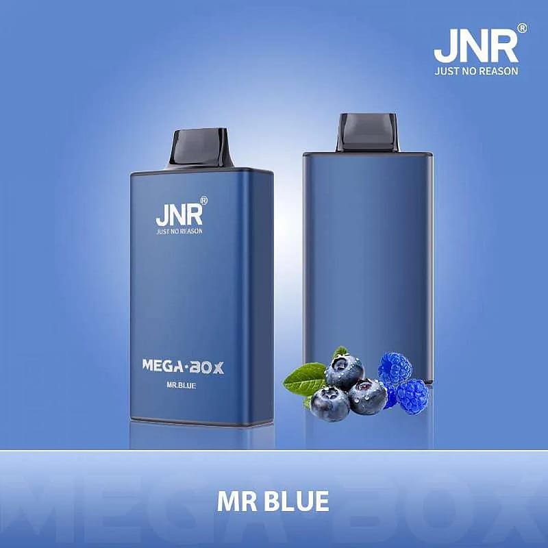 Two blue vaporizer devices branded as JNR MEGA-BOX are displayed on a blue gradient background beside blueberries and a raspberry, with the name 'MR BLUE' below.