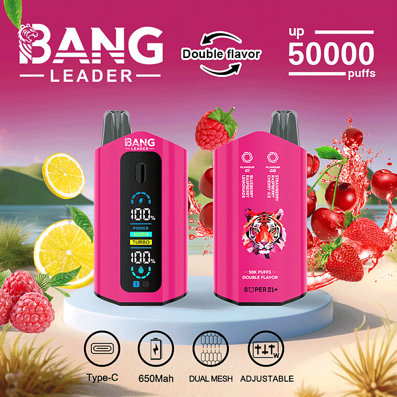 Promotional image showcasing the Bang Leader dual-flavor vaping device in pink with a digital display. Features include Type-C charging, 650mAh battery, dual mesh technology, adjustable settings, and up to 50,000 puffs. Illustrated with fruits to highlight available flavors, and bold branding across a colorful background.