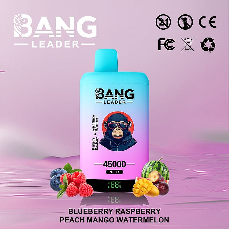 Illustration d'un appareil de cigarette électronique coloré de marque « Bang Leader » avec des saveurs de myrtille, de framboise, de pêche, de mangue et de pastèque, accompagné de fruits sur fond rose.