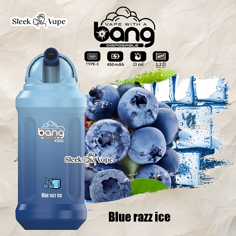 Bang King 12000 Puffs 0% 2% 3% 5% Nicotine Rechargeable Disposable Pod