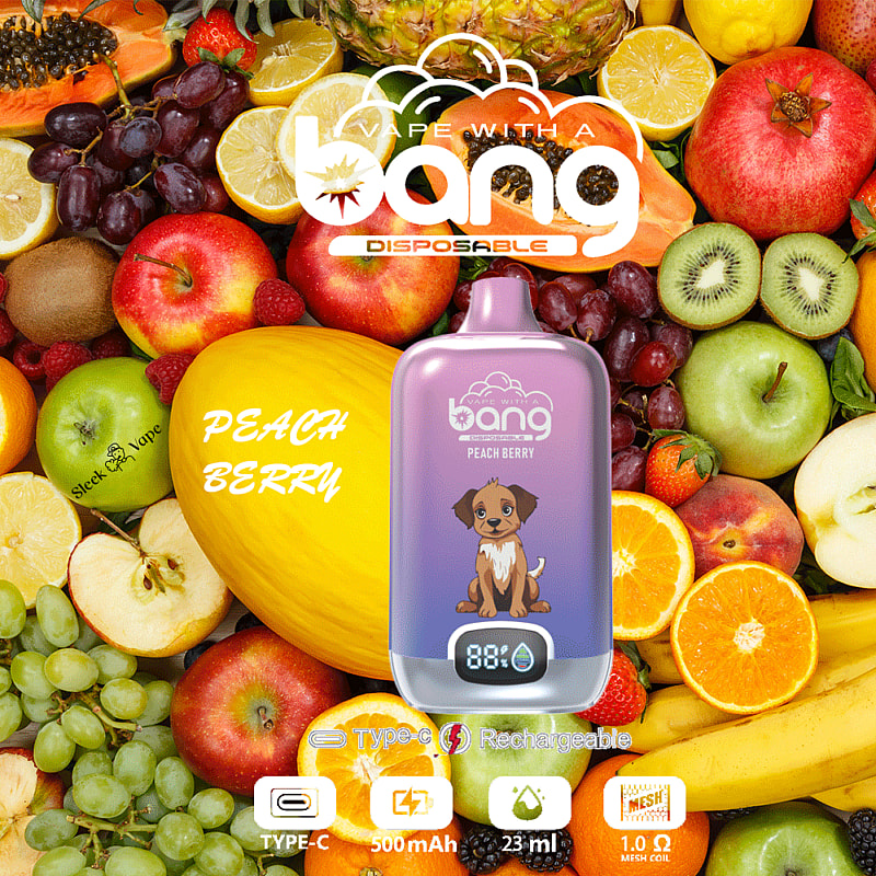 Bang Digital Box 15000 bouffées New Electronic Cigarette Disposable Vape Pen