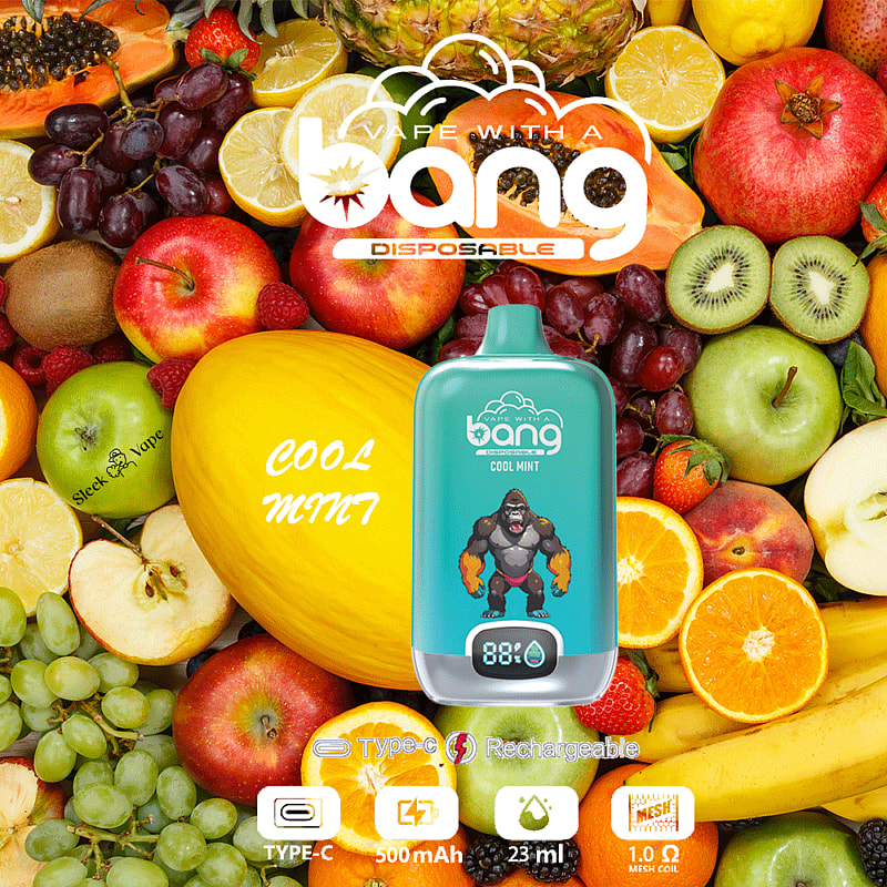 Bang Digital Box 15000 bouffées New Electronic Cigarette Disposable Vape Pen