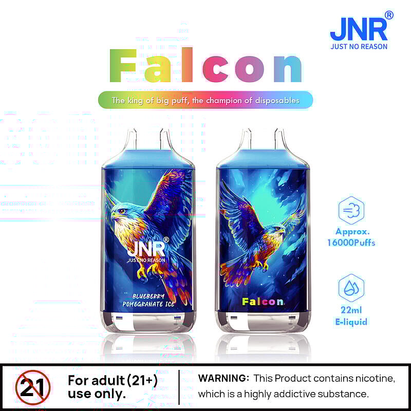 Due dispositivi monouso JNR Falcon con un design colorato a forma di falco, etichettati "Blueberry Pomegranate Ice", che offrono circa 16.000 tiri e 22 ml di e-liquid. Un avviso afferma che il prodotto contiene nicotina, destinato ad adulti di età pari o superiore a 21 anni.