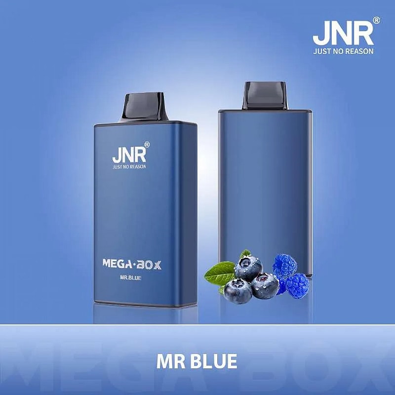 Due vaporizzatori blu marchiati JNR MEGA-BOX sono esposti su uno sfondo blu sfumato accanto a mirtilli e un lampone, con il nome "MR BLUE" sotto.
