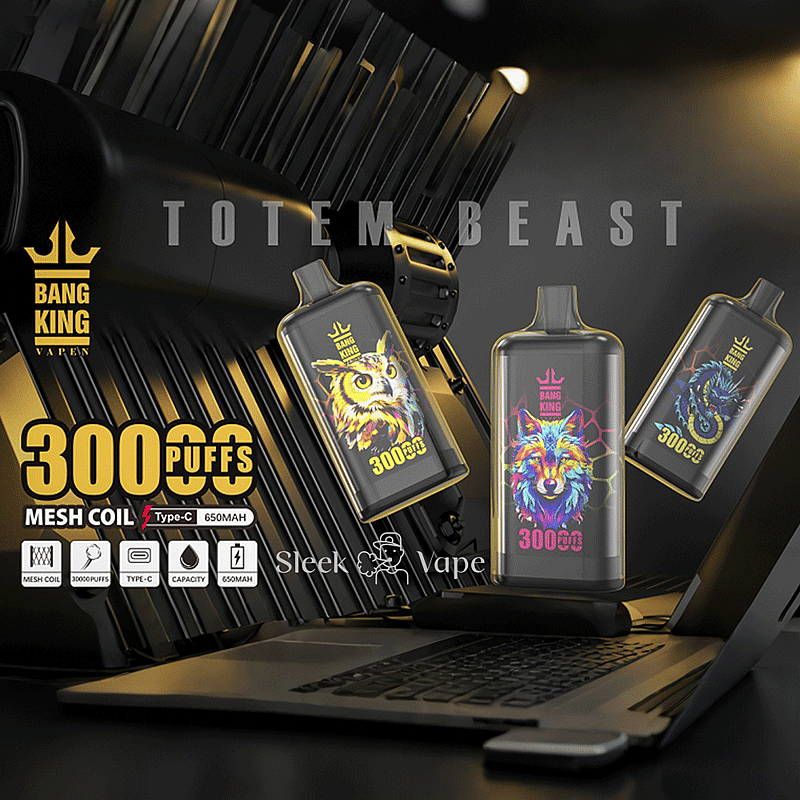 Bang King Crystal 30K Puffs  Vape offers up to 30,000 puffs, mesh coil, 650mAh battery, Type-C charging, and 12 rich flavors for lasting satisfaction.