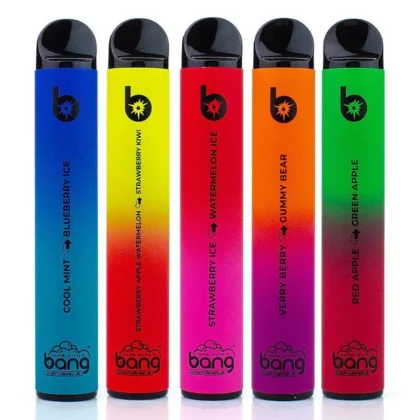 Fünf bunte Einweg-Vape-Pens mit schwarzen Mundstücken, die jeweils mit einer anderen Geschmacksrichtung beschriftet sind: Cool Mint, Blueberry Ice, Strawberry Apple Watermelon, Strawberry Kiwi, Watermelon Ice, Very Berry, Gummy Bear, Red Apple, Green Apple.