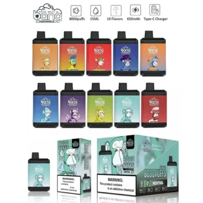 A collection of colorful disposable vape devices with cartoon character designs, offering 8000 puffs and 10 different flavors, displayed in packaging that highlights the product features and warnings.