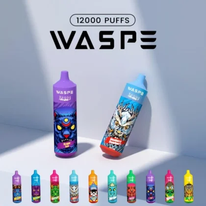 WASPE 12000 bouffées jetables Vape New Electronic Cigarette Pen