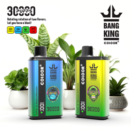 Bang 30000 30k Puffs 0% 2% 3% 5% Nikotin Ny Dubbel Smak Engångs Vape